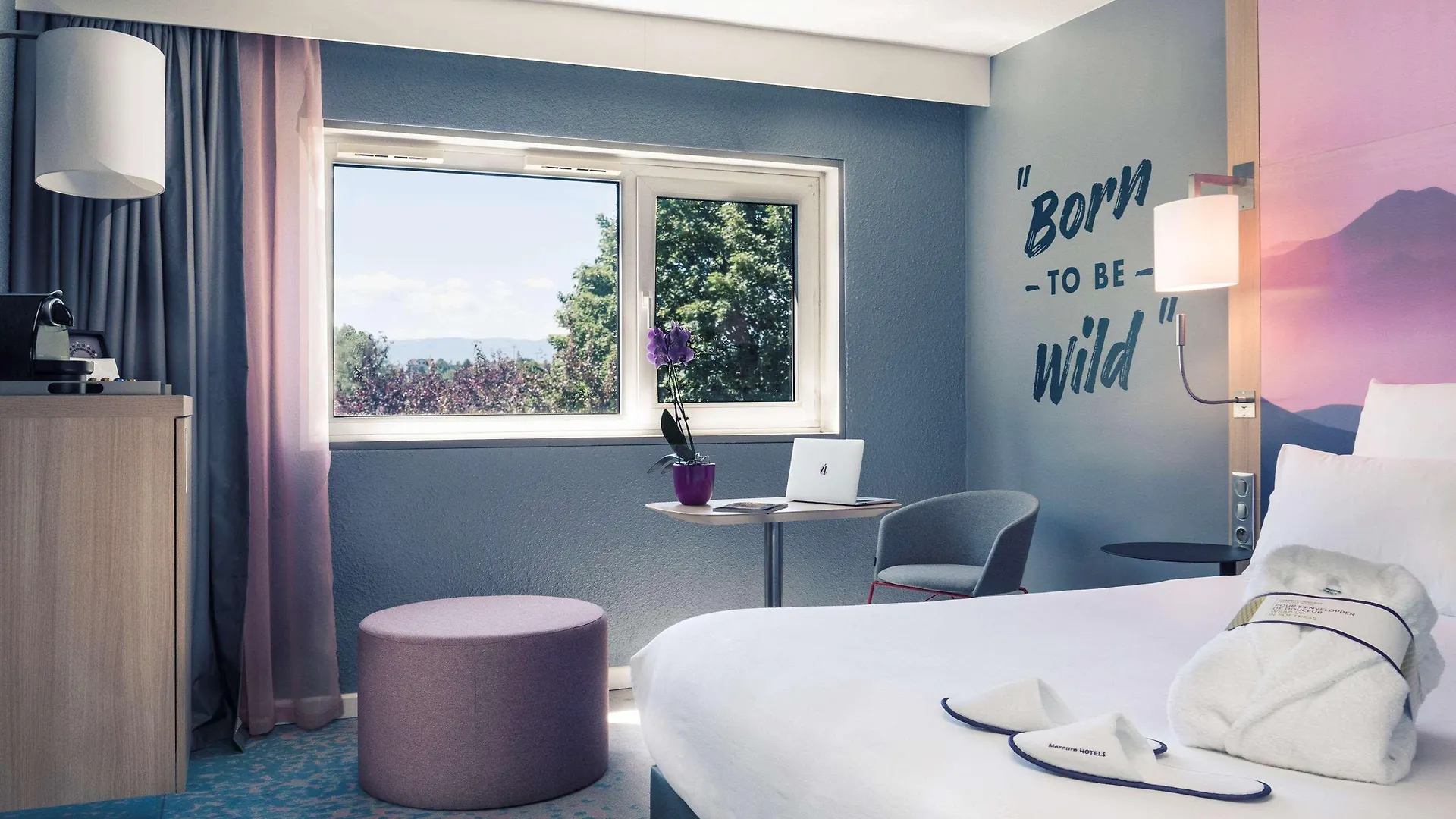 Mercure Annemasse Porte De Geneve Gaillard Hotel